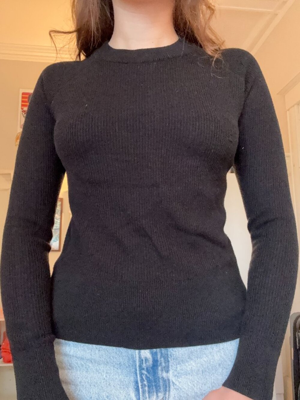 Brandy Melville Black fitted ribbed mock-neck knit top